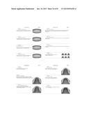 Procedure for dental aesthetic analysis of the smile area and for     facilitating the identification of dental aesthetic treatments diagram and image