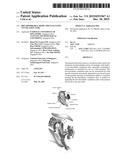 Bio-Absorbable Medicament-Eluting Ventilation Tube diagram and image