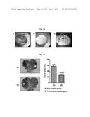 PHARMACEUTICAL COMPOSITION FOR PROTECTING WOUNDS, PROVIDING HEMOSTASIS, OR     PREVENTING ADHESION IN THE GASTROINTESTINAL TRACT diagram and image