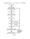 HEAT SHOCK PROTEIN (HSP) INHIBITION AND MONITORING EFFECTIVENESS THEREOF diagram and image