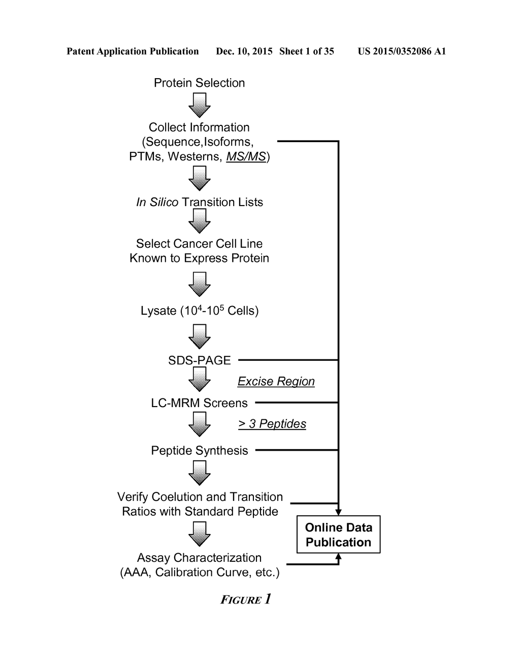 HEAT SHOCK PROTEIN (HSP) INHIBITION AND MONITORING EFFECTIVENESS THEREOF - diagram, schematic, and image 02