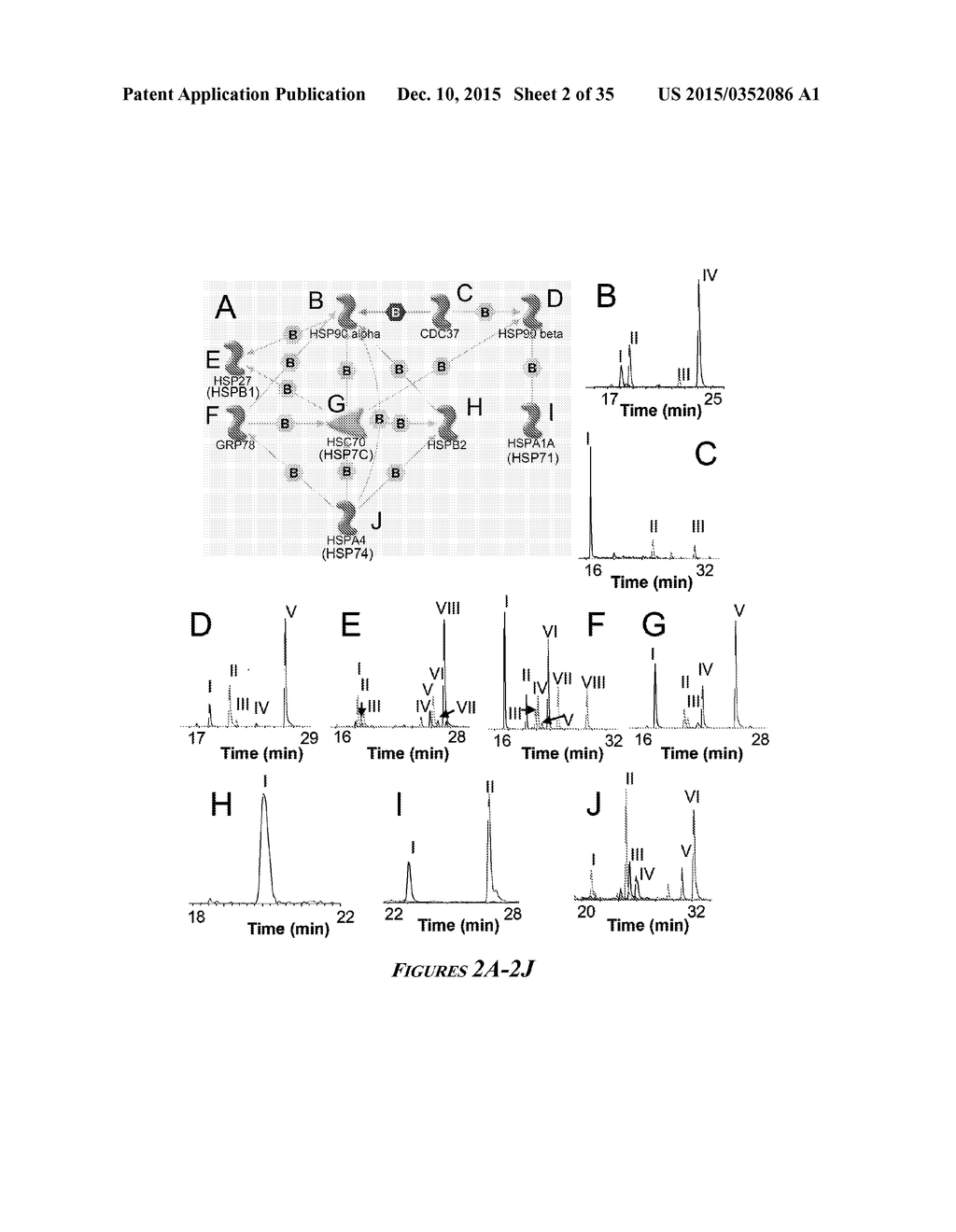 HEAT SHOCK PROTEIN (HSP) INHIBITION AND MONITORING EFFECTIVENESS THEREOF - diagram, schematic, and image 03