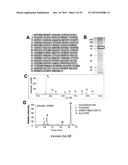 HEAT SHOCK PROTEIN (HSP) INHIBITION AND MONITORING EFFECTIVENESS THEREOF diagram and image