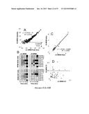 HEAT SHOCK PROTEIN (HSP) INHIBITION AND MONITORING EFFECTIVENESS THEREOF diagram and image