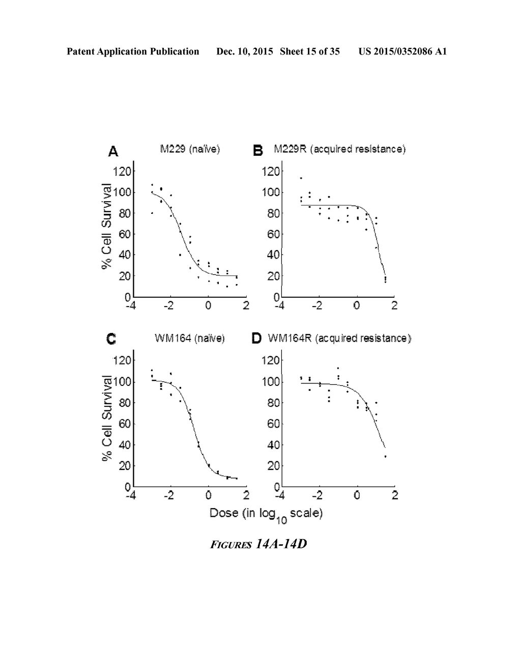 HEAT SHOCK PROTEIN (HSP) INHIBITION AND MONITORING EFFECTIVENESS THEREOF - diagram, schematic, and image 16