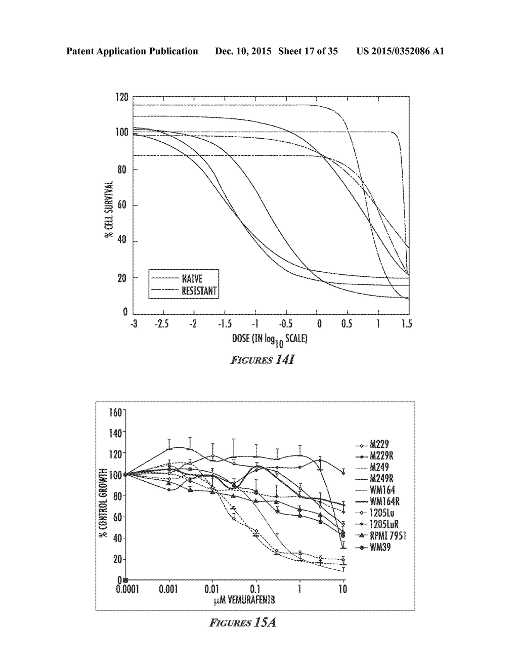HEAT SHOCK PROTEIN (HSP) INHIBITION AND MONITORING EFFECTIVENESS THEREOF - diagram, schematic, and image 18