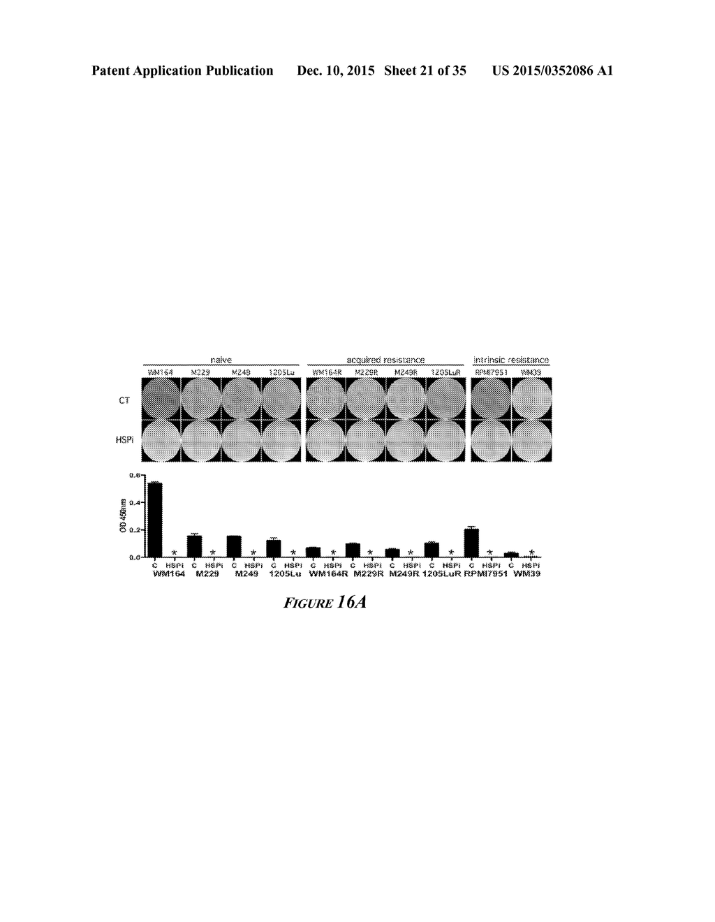 HEAT SHOCK PROTEIN (HSP) INHIBITION AND MONITORING EFFECTIVENESS THEREOF - diagram, schematic, and image 22