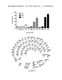 HEAT SHOCK PROTEIN (HSP) INHIBITION AND MONITORING EFFECTIVENESS THEREOF diagram and image