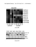 HEAT SHOCK PROTEIN (HSP) INHIBITION AND MONITORING EFFECTIVENESS THEREOF diagram and image