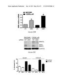 HEAT SHOCK PROTEIN (HSP) INHIBITION AND MONITORING EFFECTIVENESS THEREOF diagram and image