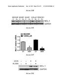 HEAT SHOCK PROTEIN (HSP) INHIBITION AND MONITORING EFFECTIVENESS THEREOF diagram and image