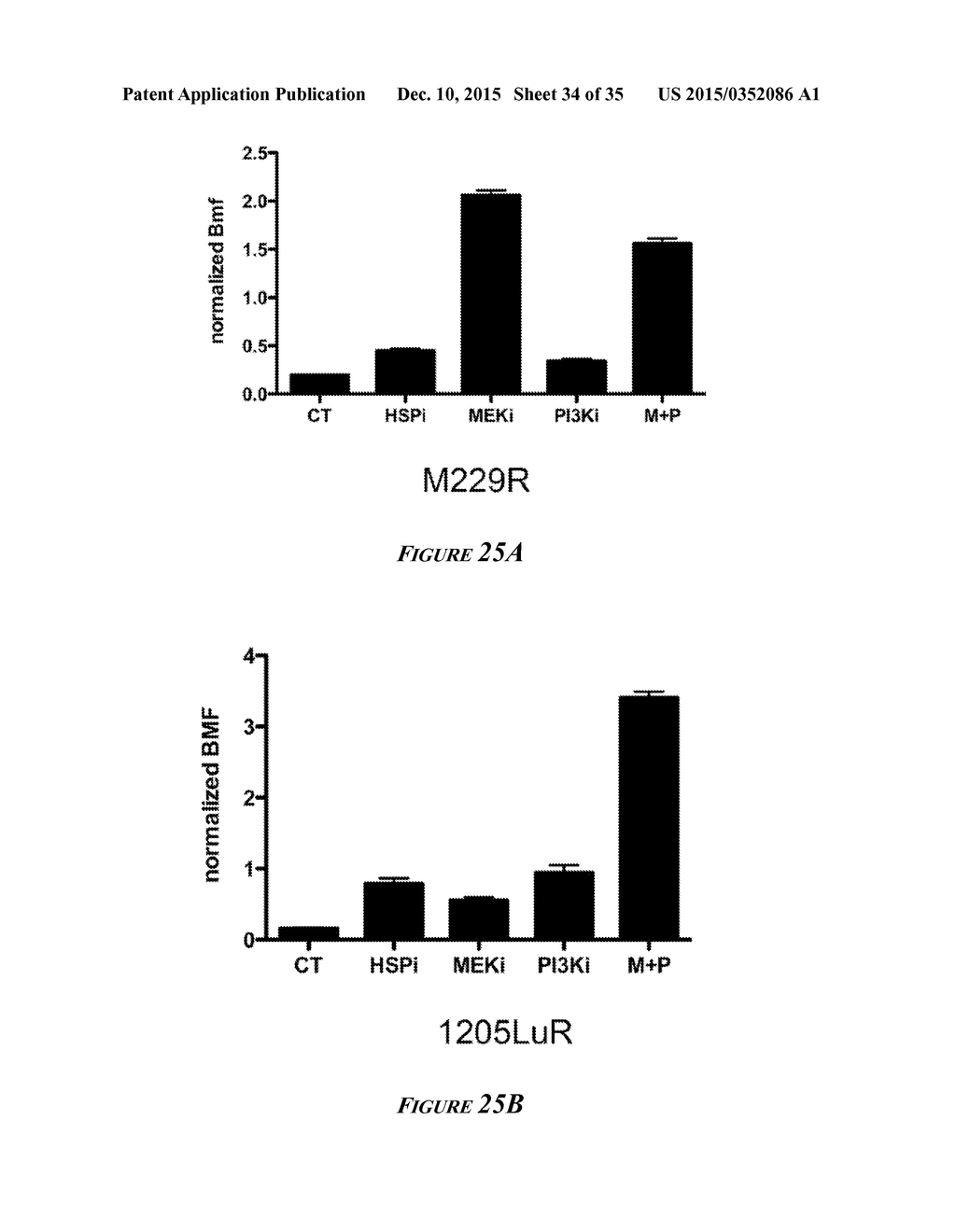 HEAT SHOCK PROTEIN (HSP) INHIBITION AND MONITORING EFFECTIVENESS THEREOF - diagram, schematic, and image 35