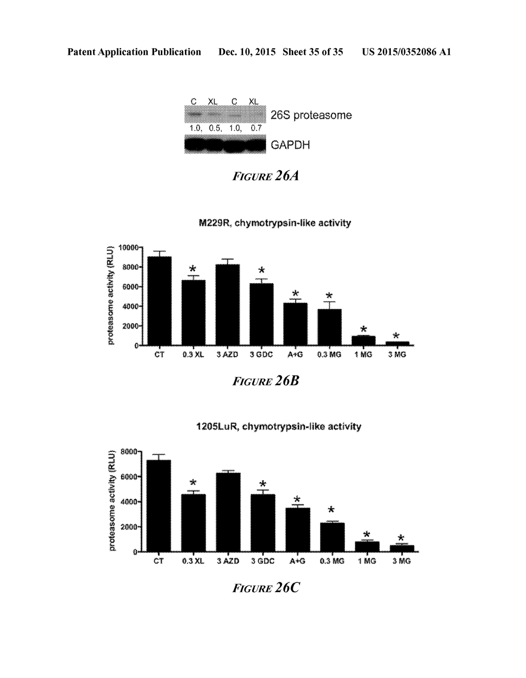 HEAT SHOCK PROTEIN (HSP) INHIBITION AND MONITORING EFFECTIVENESS THEREOF - diagram, schematic, and image 36