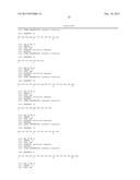 HEAT SHOCK PROTEIN (HSP) INHIBITION AND MONITORING EFFECTIVENESS THEREOF diagram and image