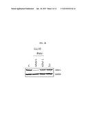 HDAC INHIBITOR AND BTK INHIBITOR COMBINATIONS diagram and image