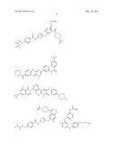 HDAC INHIBITOR AND BTK INHIBITOR COMBINATIONS diagram and image