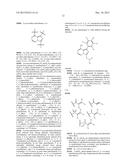 HDAC INHIBITOR AND BTK INHIBITOR COMBINATIONS diagram and image