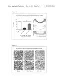 THERAPEUTIC AGENT FOR DEMYELINATING DISEASE diagram and image