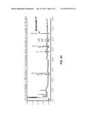 COMPOSITION FOR TOPICAL SKIN APPLICATION CONTAINING GINSENOSIDE F2 DERIVED     FROM HYDROPONIC GINSENG diagram and image