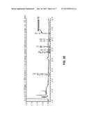 COMPOSITION FOR TOPICAL SKIN APPLICATION CONTAINING GINSENOSIDE F2 DERIVED     FROM HYDROPONIC GINSENG diagram and image