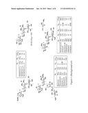 NOVEL AMINOGLYCOSIDES AND USES THEREOF IN THE TREATMENT OF GENETIC     DISORDERS diagram and image