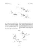 NOVEL AMINOGLYCOSIDES AND USES THEREOF IN THE TREATMENT OF GENETIC     DISORDERS diagram and image