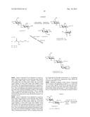 NOVEL AMINOGLYCOSIDES AND USES THEREOF IN THE TREATMENT OF GENETIC     DISORDERS diagram and image