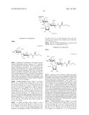 NOVEL AMINOGLYCOSIDES AND USES THEREOF IN THE TREATMENT OF GENETIC     DISORDERS diagram and image