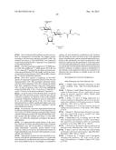 NOVEL AMINOGLYCOSIDES AND USES THEREOF IN THE TREATMENT OF GENETIC     DISORDERS diagram and image