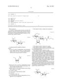 NOVEL AMINOGLYCOSIDES AND USES THEREOF IN THE TREATMENT OF GENETIC     DISORDERS diagram and image