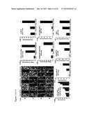 Wound Dressing Nanomesh Impregnated with Human Umbilical Cord Wharton s     Jelly Stem Cells diagram and image