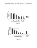 METHOD FOR TREATING PANCREATIC CANCER diagram and image