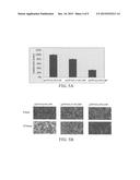 METHOD FOR TREATING PANCREATIC CANCER diagram and image