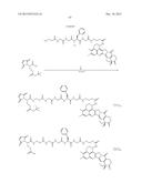 ANTIBODY-DRUG CONJUGATE PRODUCED BY BINDING THROUGH LINKER HAVING     HYDROPHILIC STRUCTURE diagram and image