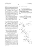 ANTIBODY-DRUG CONJUGATE PRODUCED BY BINDING THROUGH LINKER HAVING     HYDROPHILIC STRUCTURE diagram and image