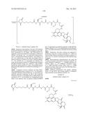 ANTIBODY-DRUG CONJUGATE PRODUCED BY BINDING THROUGH LINKER HAVING     HYDROPHILIC STRUCTURE diagram and image