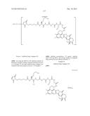 ANTIBODY-DRUG CONJUGATE PRODUCED BY BINDING THROUGH LINKER HAVING     HYDROPHILIC STRUCTURE diagram and image