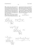 ANTIBODY-DRUG CONJUGATE PRODUCED BY BINDING THROUGH LINKER HAVING     HYDROPHILIC STRUCTURE diagram and image