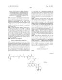 ANTIBODY-DRUG CONJUGATE PRODUCED BY BINDING THROUGH LINKER HAVING     HYDROPHILIC STRUCTURE diagram and image