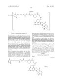 ANTIBODY-DRUG CONJUGATE PRODUCED BY BINDING THROUGH LINKER HAVING     HYDROPHILIC STRUCTURE diagram and image