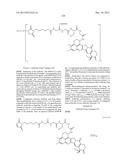 ANTIBODY-DRUG CONJUGATE PRODUCED BY BINDING THROUGH LINKER HAVING     HYDROPHILIC STRUCTURE diagram and image