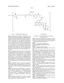 ANTIBODY-DRUG CONJUGATE PRODUCED BY BINDING THROUGH LINKER HAVING     HYDROPHILIC STRUCTURE diagram and image