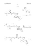 ANTIBODY-DRUG CONJUGATE PRODUCED BY BINDING THROUGH LINKER HAVING     HYDROPHILIC STRUCTURE diagram and image