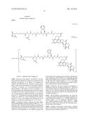 ANTIBODY-DRUG CONJUGATE PRODUCED BY BINDING THROUGH LINKER HAVING     HYDROPHILIC STRUCTURE diagram and image