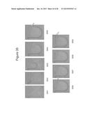 Isolating Microfluidic Structures and Trapping Bubbles diagram and image