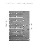 Isolating Microfluidic Structures and Trapping Bubbles diagram and image