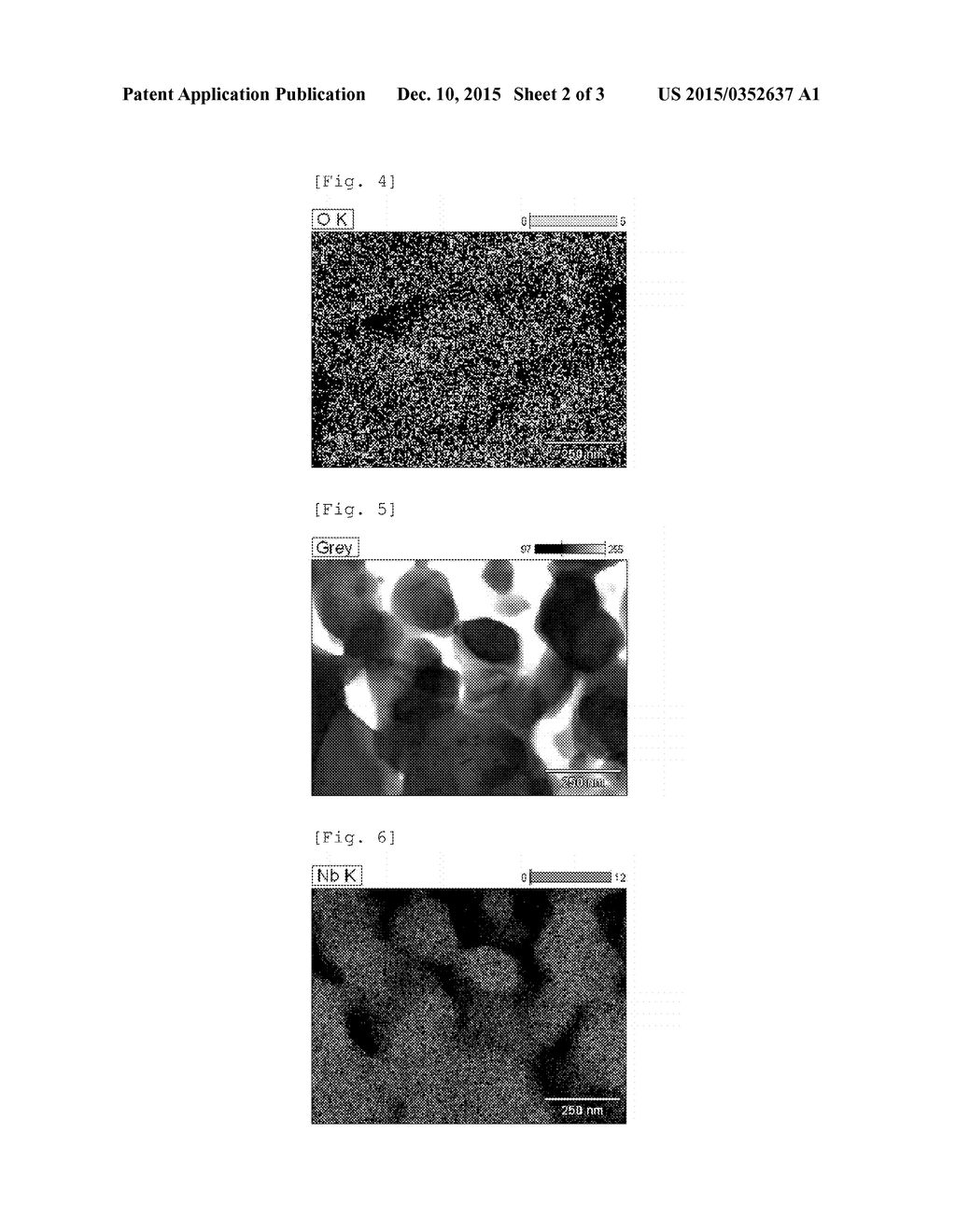 CHEMICAL CONVERSION BODY FOR NIOBIUM CAPACITOR POSITIVE ELECTRODE, AND     PRODUCTION METHOD THEREFOR - diagram, schematic, and image 03