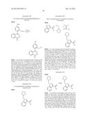 PHTHALAZINONES AND ISOQUINOLINONES AS ROCK INHIBITORS diagram and image