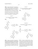 PHTHALAZINONES AND ISOQUINOLINONES AS ROCK INHIBITORS diagram and image