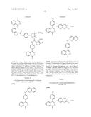 PHTHALAZINONES AND ISOQUINOLINONES AS ROCK INHIBITORS diagram and image